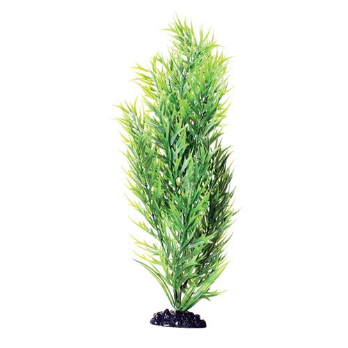 Underwater Treasures Green Bamboo | Pisces