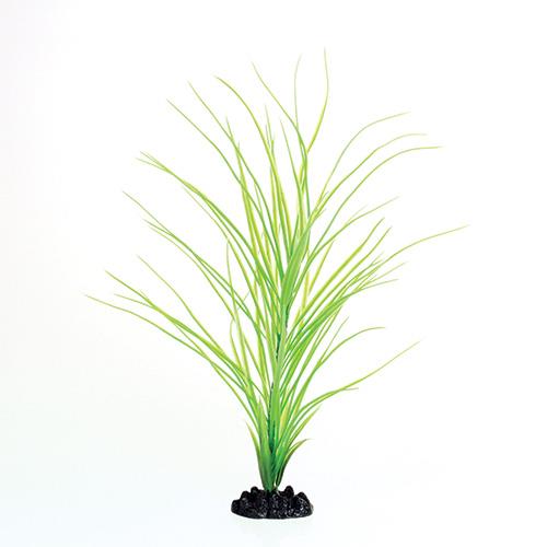 Underwater Treasures Green Hairgrass | Pisces