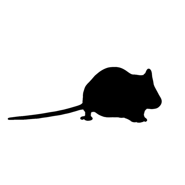 Frozen Feeder Mice - Fuzzies - Pisces Pet Emporium